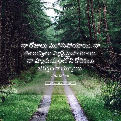 Picture 05 - యోబు 17:11 TELIRV - నా రోజులు - Bible Verse Picture