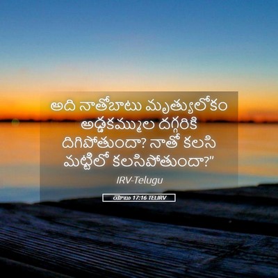 Picture 05 - యోబు 17:16 TELIRV - అది నాతోబాటు - Bible Verse Picture