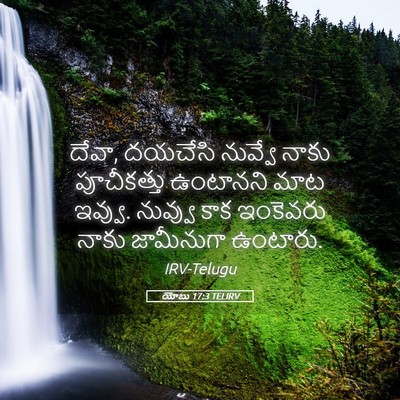 Picture 05 - యోబు 17:3 TELIRV - దేవా, దయచేసి - Bible Verse Picture