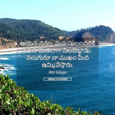 Picture 05 - యోబు 17:6 TELIRV - ఆయన నన్ను - Bible Verse Picture