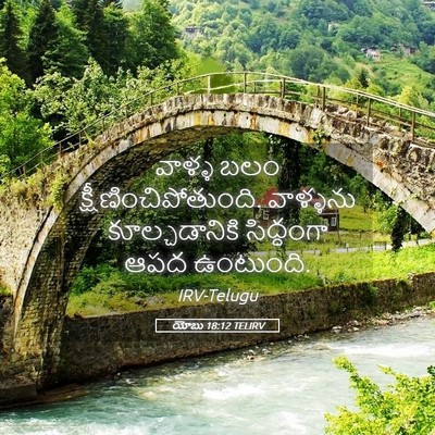 Picture 05 - యోబు 18:12 TELIRV - వాళ్ళ బలం - Bible Verse Picture