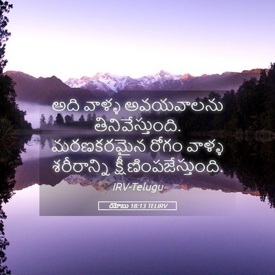Picture 05 - యోబు 18:13 TELIRV - అది వాళ్ళ - Bible Verse Picture