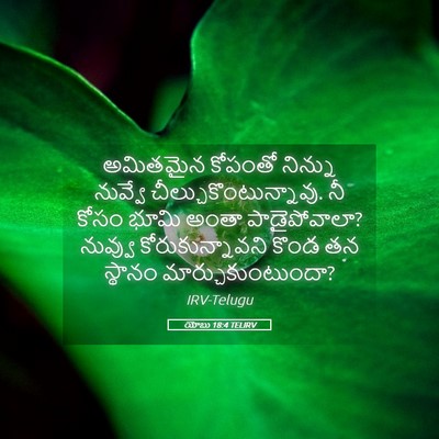Picture 05 - యోబు 18:4 TELIRV - అమితమైన కోపంతో - Bible Verse Picture