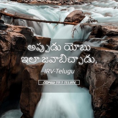 Picture 05 - యోబు 19:1 TELIRV - అప్పుడు యోబు ఇలా - Bible Verse Picture