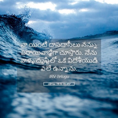 Picture 05 - యోబు 19:15 TELIRV - నా యింటి - Bible Verse Picture