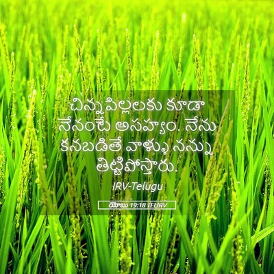 Picture 05 - యోబు 19:18 TELIRV - చిన్నపిల్లలకు - Bible Verse Picture