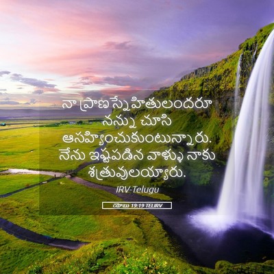 Picture 05 - యోబు 19:19 TELIRV - నా - Bible Verse Picture