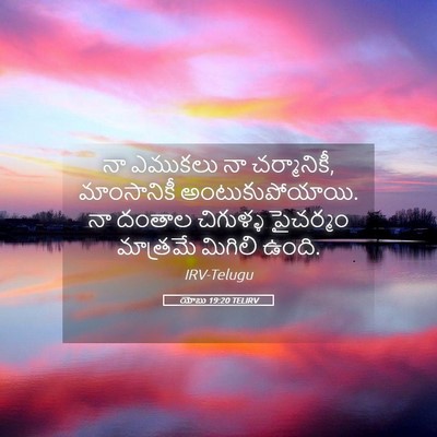 Picture 05 - యోబు 19:20 TELIRV - నా ఎముకలు నా - Bible Verse Picture