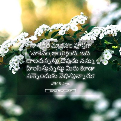 Picture 05 - యోబు 19:22 TELIRV - నా శరీర మాంసం - Bible Verse Picture