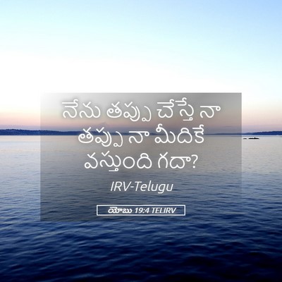 Picture 05 - యోబు 19:4 TELIRV - నేను తప్పు చేస్తే - Bible Verse Picture