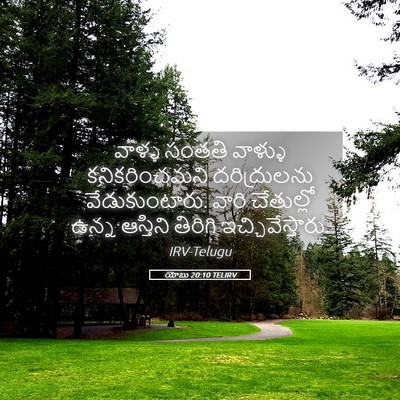 Picture 05 - యోబు 20:10 TELIRV - వాళ్ళ సంతతి - Bible Verse Picture