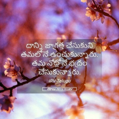 Picture 05 - యోబు 20:13 TELIRV - దాన్ని జాగ్రత్త - Bible Verse Picture