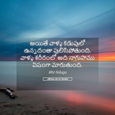 Picture 05 - యోబు 20:14 TELIRV - అయితే వాళ్ళ - Bible Verse Picture