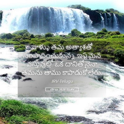 Picture 05 - యోబు 20:20 TELIRV - వాళ్ళు తమ - Bible Verse Picture