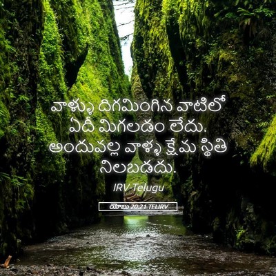 Picture 05 - యోబు 20:21 TELIRV - వాళ్ళు దిగమింగిన - Bible Verse Picture