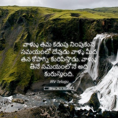 Picture 05 - యోబు 20:23 TELIRV - వాళ్ళు తమ కడుపు - Bible Verse Picture
