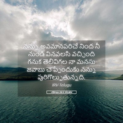 Picture 05 - యోబు 20:3 TELIRV - నన్ను అవమానపరిచే - Bible Verse Picture