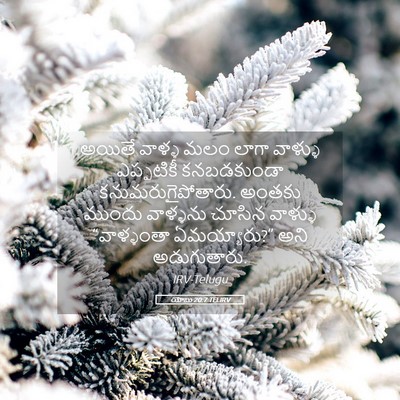 Picture 05 - యోబు 20:7 TELIRV - అయితే వాళ్ళ మలం - Bible Verse Picture