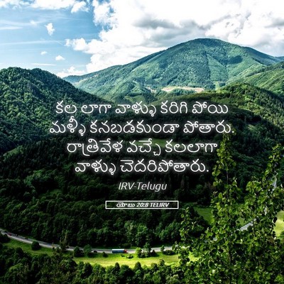 Picture 05 - యోబు 20:8 TELIRV - కల లాగా వాళ్ళు - Bible Verse Picture