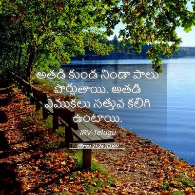 Picture 05 - యోబు 21:24 TELIRV - అతడి కుండ నిండా - Bible Verse Picture