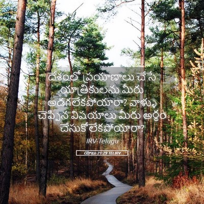 Picture 05 - యోబు 21:29 TELIRV - దేశంలో ప్రయాణాలు - Bible Verse Picture