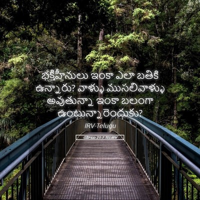 Picture 05 - యోబు 21:7 TELIRV - భక్తిహీనులు ఇంకా - Bible Verse Picture