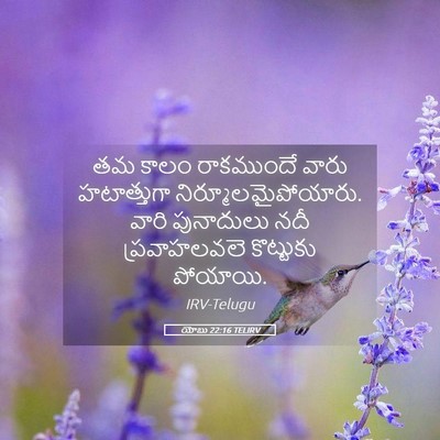 Picture 05 - యోబు 22:16 TELIRV - తమ కాలం రాకముందే - Bible Verse Picture