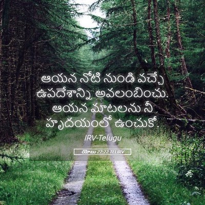 Picture 05 - యోబు 22:22 TELIRV - ఆయన నోటి నుండి - Bible Verse Picture