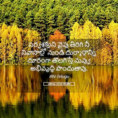 Picture 05 - యోబు 22:23 TELIRV - సర్వశక్తుని వైపు - Bible Verse Picture
