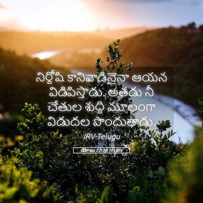Picture 05 - యోబు 22:30 TELIRV - నిర్దోషి - Bible Verse Picture