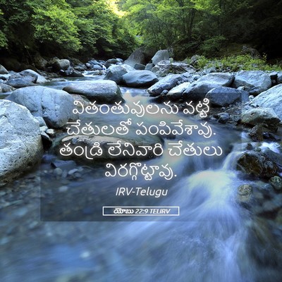 Picture 05 - యోబు 22:9 TELIRV - వితంతువులను వట్టి - Bible Verse Picture