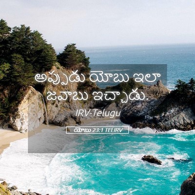 Picture 05 - యోబు 23:1 TELIRV - అప్పుడు యోబు ఇలా - Bible Verse Picture