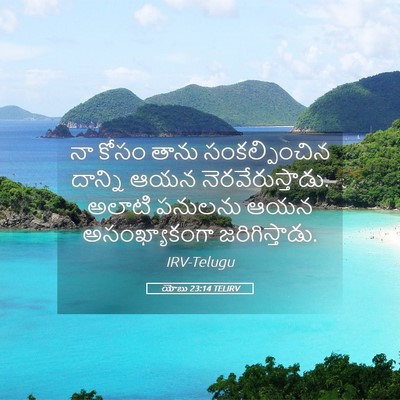 Picture 05 - యోబు 23:14 TELIRV - నా కోసం తాను - Bible Verse Picture