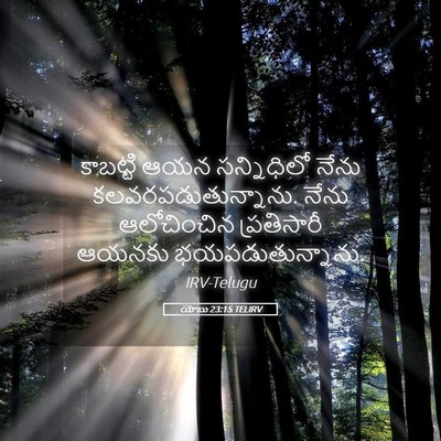 Picture 05 - యోబు 23:15 TELIRV - కాబట్టి ఆయన - Bible Verse Picture