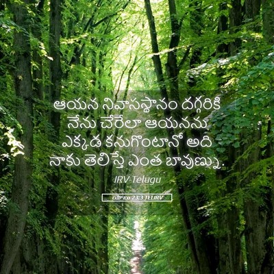 Picture 05 - యోబు 23:3 TELIRV - ఆయన నివాసస్థానం - Bible Verse Picture