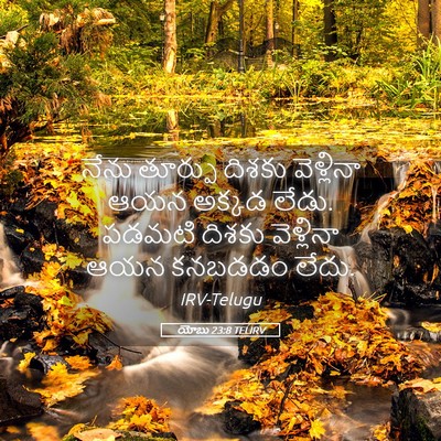 Picture 05 - యోబు 23:8 TELIRV - నేను తూర్పు దిశకు - Bible Verse Picture