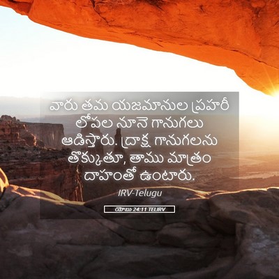 Picture 05 - యోబు 24:11 TELIRV - వారు తమ యజమానుల - Bible Verse Picture