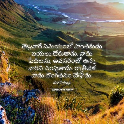 Picture 05 - యోబు 24:14 TELIRV - తెల్లవారే సమయంలో - Bible Verse Picture