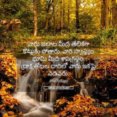 Picture 05 - యోబు 24:18 TELIRV - వారు జలాల మీద - Bible Verse Picture