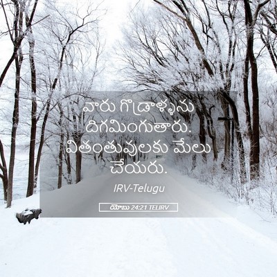 Picture 05 - యోబు 24:21 TELIRV - వారు గొడ్రాళ్ళను - Bible Verse Picture