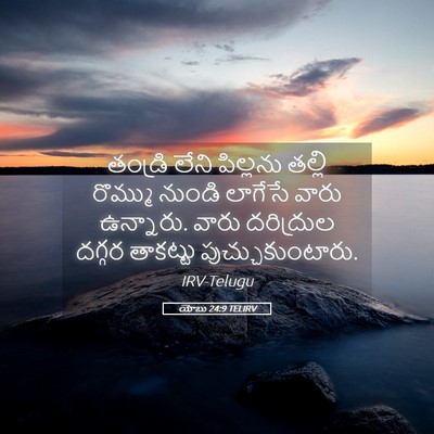 Picture 05 - యోబు 24:9 TELIRV - తండ్రి లేని - Bible Verse Picture