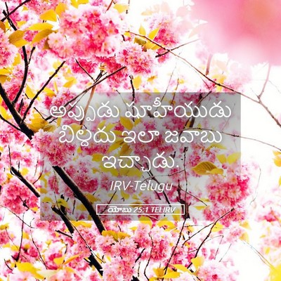 Picture 05 - యోబు 25:1 TELIRV - అప్పుడు షూహీయుడు - Bible Verse Picture