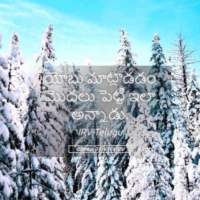 Picture 05 - యోబు 27:1 TELIRV - యోబు మాట్లాడడం - Bible Verse Picture