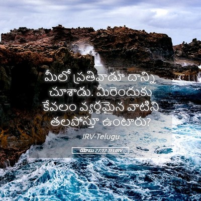 Picture 05 - యోబు 27:12 TELIRV - మీలో ప్రతివాడూ - Bible Verse Picture