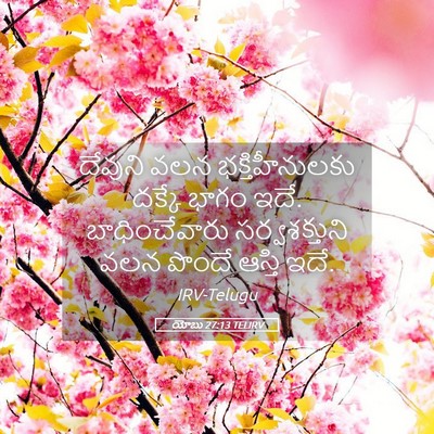 Picture 05 - యోబు 27:13 TELIRV - దేవుని వలన - Bible Verse Picture
