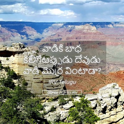 Picture 05 - యోబు 27:9 TELIRV - వాడికి బాధ - Bible Verse Picture