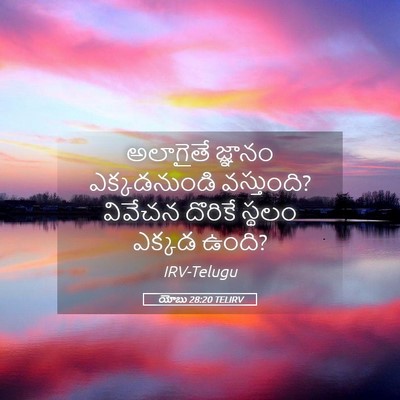 Picture 05 - యోబు 28:20 TELIRV - అలాగైతే జ్ఞానం - Bible Verse Picture