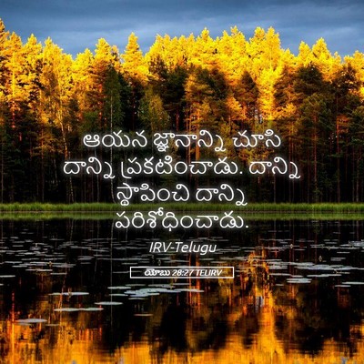 Picture 05 - యోబు 28:27 TELIRV - ఆయన జ్ఞానాన్ని - Bible Verse Picture