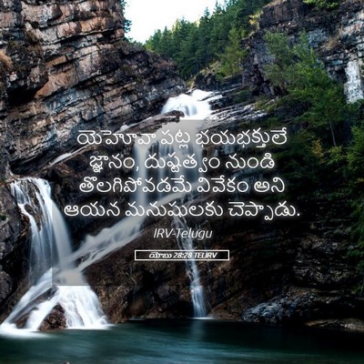 Picture 05 - యోబు 28:28 TELIRV - యెహోవా పట్ల - Bible Verse Picture