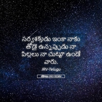 Picture 05 - యోబు 29:5 TELIRV - సర్వశక్తుడు ఇంకా - Bible Verse Picture